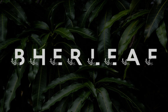 Bherleaf: A Bold Font for Business