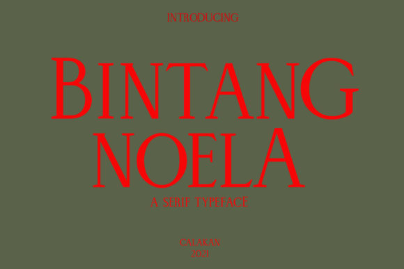 Bintang Noela: A Bold Serif for Digital Campaigns