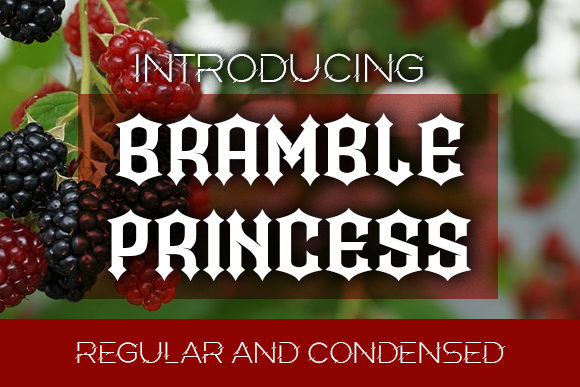 Bramble Princess Font: Bold & Beautiful