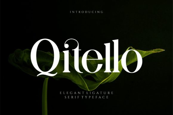 Qitello: A Serif Font for Real Projects