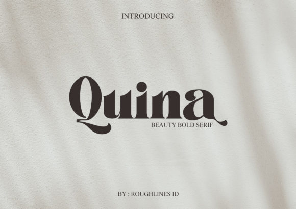 Quina: A Bold Serif Font for Business Branding