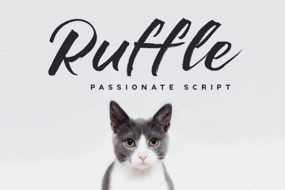 Ruffle Font: Bold Handwritten Elegance